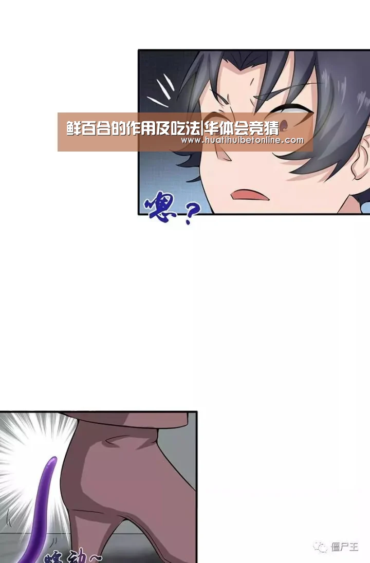 鲜百合的作用及吃法|华体会竞猜(图3) 华体会竞猜