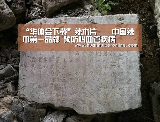 华体会平台